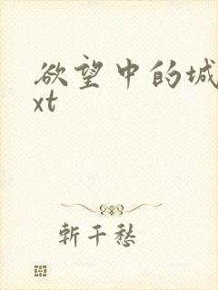 欲望中的城市txt