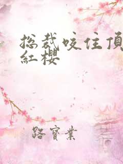 总裁咬住顶端的红樱