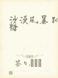 沙漠风暴 跳跳糖