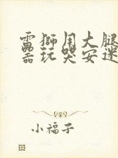 雷狮用大腿支撑器玩哭安迷修