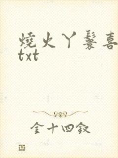 烧火丫鬟喜洋洋txt