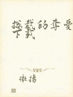 总裁的夺爱游戏下载