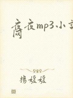 夜夜mp3小说网