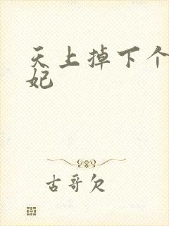 天上掉下个奇王妃