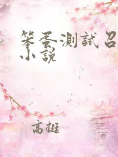 笨蛋测试召唤兽小说