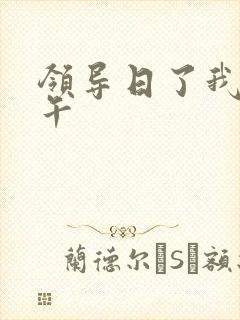 领导日了我一下午