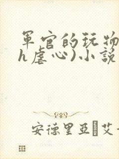 军官的玩物(高h虐心)小说