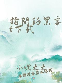 指间的黑客txt下载