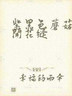 紫黑色蘑菇头顶开花缝