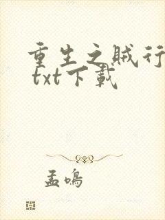 重生之贼行天下 txt下载