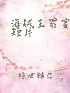 海贼王罗宾被h短片