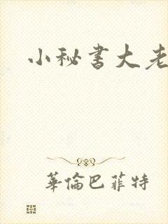 小秘书大老婆