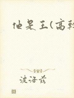 他是王(高干)