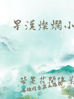 星汉灿烂小说