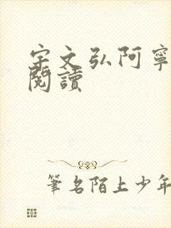 宇文弘阿宁全文阅读