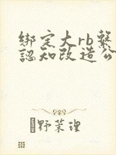 绑定大rb系统认知改造公车