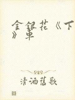 金银花《下厨房》车