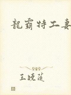 龙霸特工妻