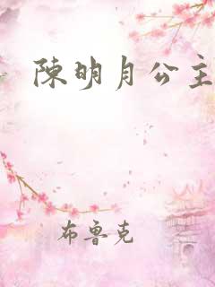 陈明月公主之夜