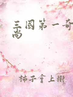 三国第一奇兵袁尚