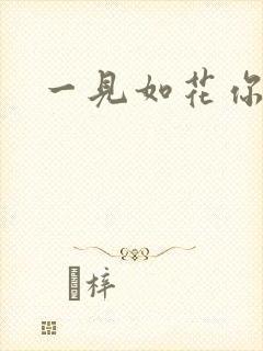 一见如花你就笑
