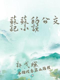 苏苏的公交车日记小说