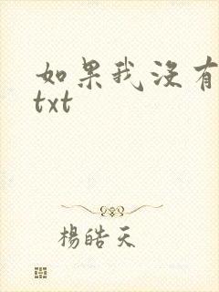 如果我没有爱过txt
