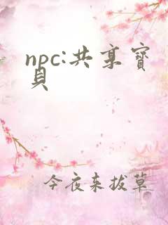 npc:共享宝贝
