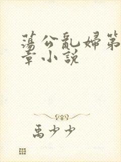 荡公乱妇第51章小说