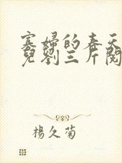 寡妇的春天白花儿刘三斤阅读