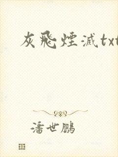 灰飞烟灭txt