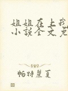 姐姐在上我在下小说全文免费阅读