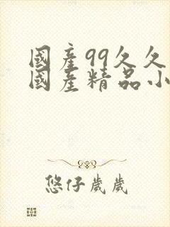 国产99久久久国产精品小说