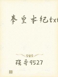 拳皇本纪txt