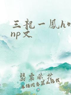 三龙一凤h啪肉np文
