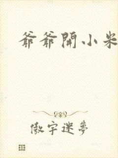 爷爷开小米的处