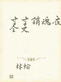 寸寸销魂夜春光全文