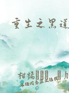重生之黑道传奇