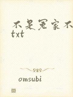 不是冤家不聚头txt