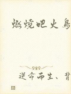 燃烧吧火鸟小说