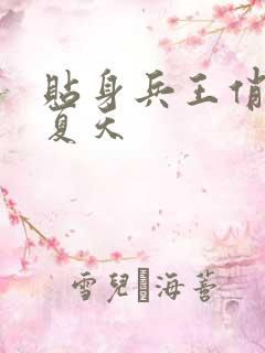 贴身兵王俏总裁夏天