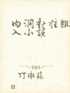 肉洞对准粗大坐入小说