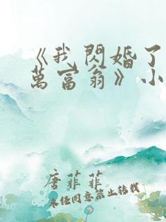 《我闪婚了个亿万富翁》小说