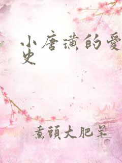 小唐璜的爱情历史