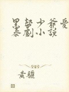 黑帮少爷爱上我泰剧小说