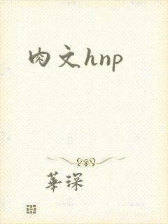 肉文hnp