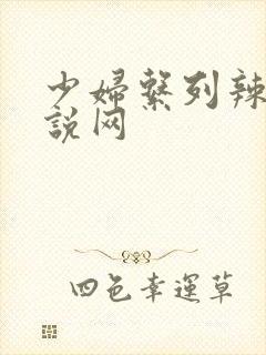 少妇系列辣文小说网