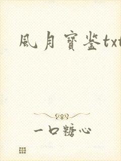 风月宝鉴txt