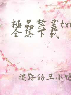 极品禁书txt全集下载