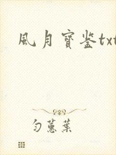 风月宝鉴txt